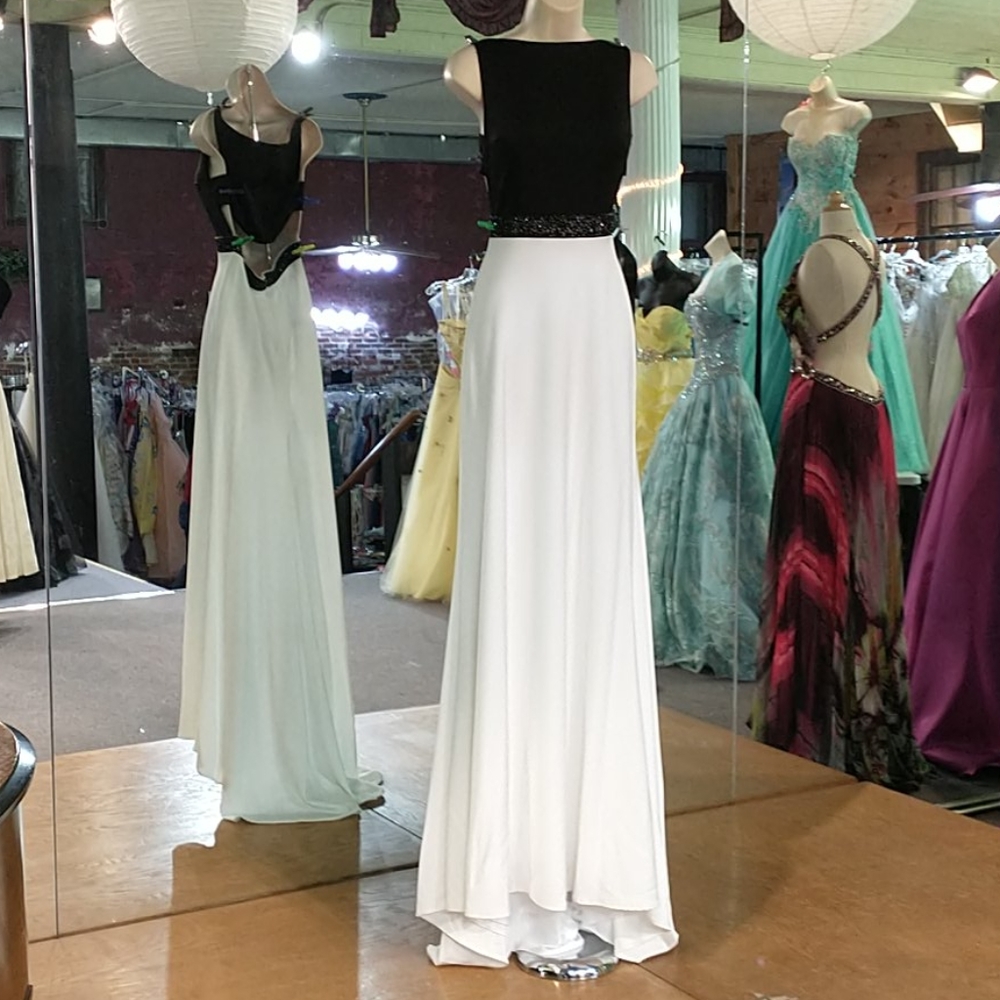 Alyce Paris evening gown - Picture 1 of 10